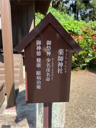 薬師神社(伊勢神社境内社)の参拝記録(⛩️🐍🐢まめ🐢🐍⛩️さん)