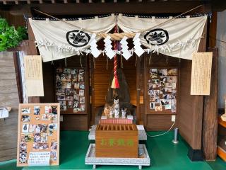 忠猫神社の参拝記録(ちぃさん)