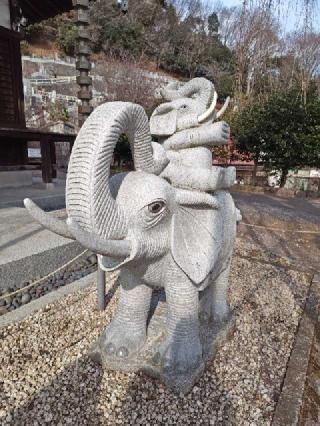 金南寺の参拝記録(はじめさん)