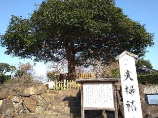 手摩乳神社(八重垣神社)の参拝記録(yukiさん)