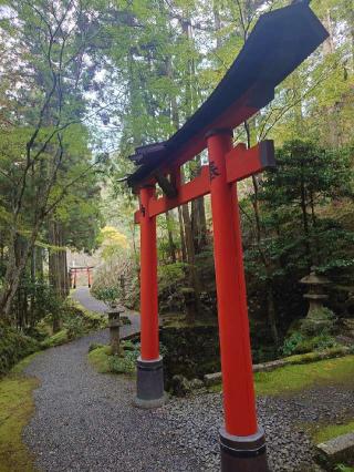 白龍神社(白龍園内)の参拝記録(longironさん)