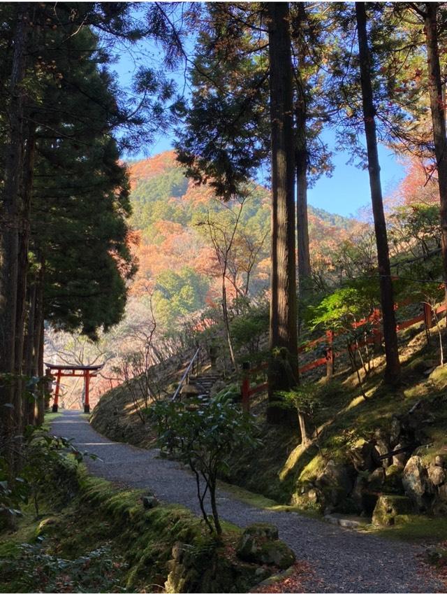 白龍神社(白龍園内)の参拝記録1