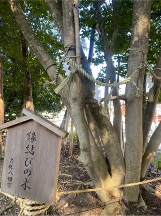 秋葉社（若林八幡宮境内）の参拝記録(yj さん)