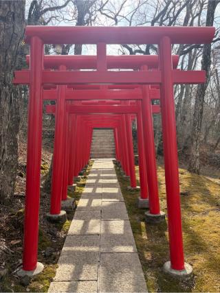 山中出口稲荷神社の参拝記録(こーちんさん)