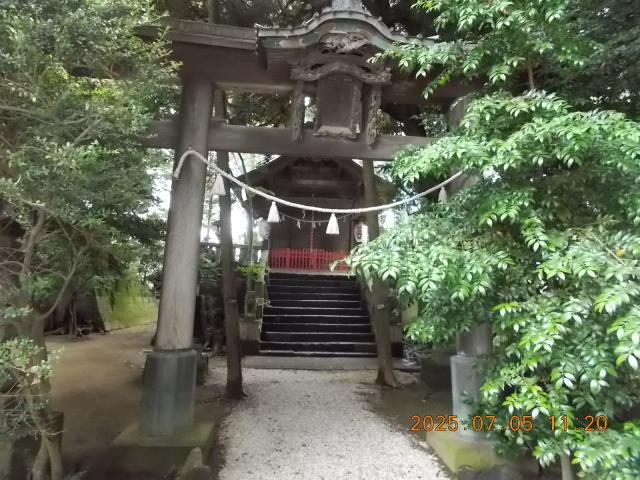 埼玉県本庄市千代田3-2-13 琴平神社(金鑚神社境内社)の写真2