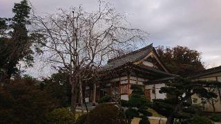 鴻ノ巣山 長福寺の参拝記録(まっきーさん)