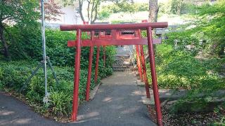 耕作稲荷神社(遠石八幡宮)の参拝記録(ロビンさん)