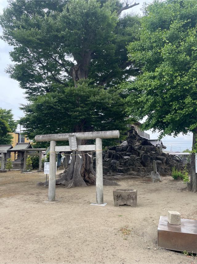 千葉県市原市五井3924 浅間神社の写真1