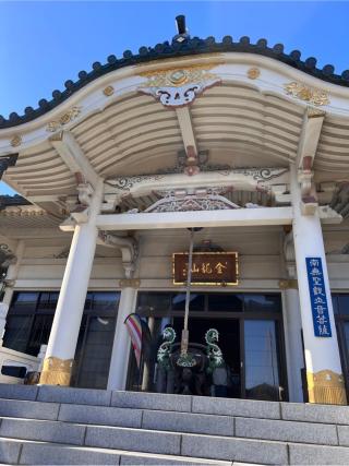 金龍山　信松院の参拝記録(せーこさん)