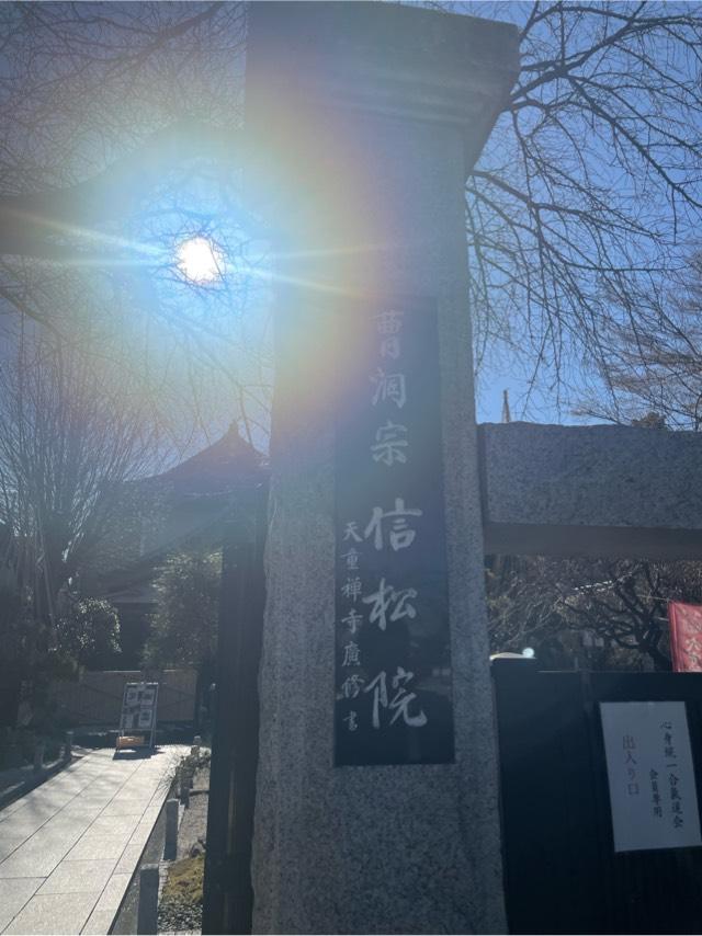 金龍山　信松院の参拝記録3