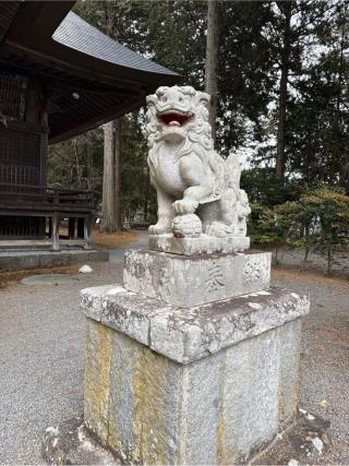 富士御室浅間神社の参拝記録(⛩️🎠🐢まめ🐢🎠⛩️さん)