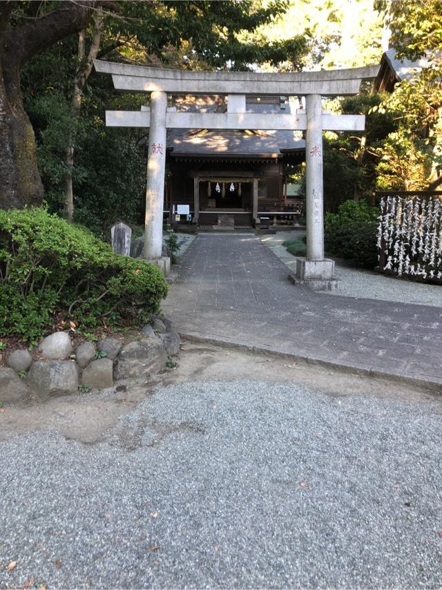 祖霊社(出雲大社相模分祠)の参拝記録(こーちんさん)