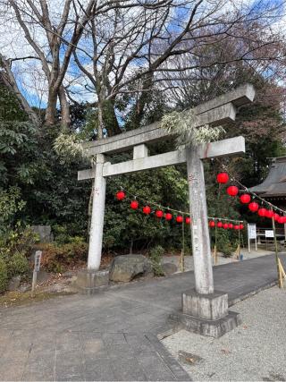 祖霊社(出雲大社相模分祠)の参拝記録(⛩️🎠🐢まめ🐢🎠⛩️さん)