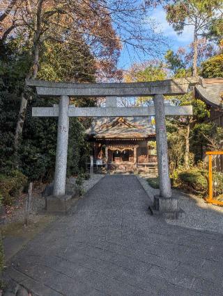 祖霊社(出雲大社相模分祠)の参拝記録(はくすみさん)