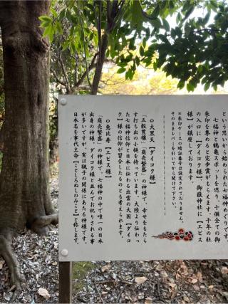 大黒天(出雲大社相模分祠)の参拝記録(⛩️🐍🐢まめ🐢🐍⛩️さん)