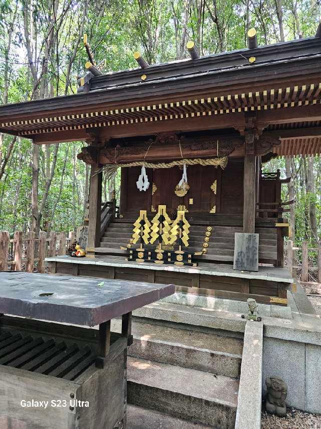 龍蛇神の社(出雲大社相模分祠)の参拝記録2