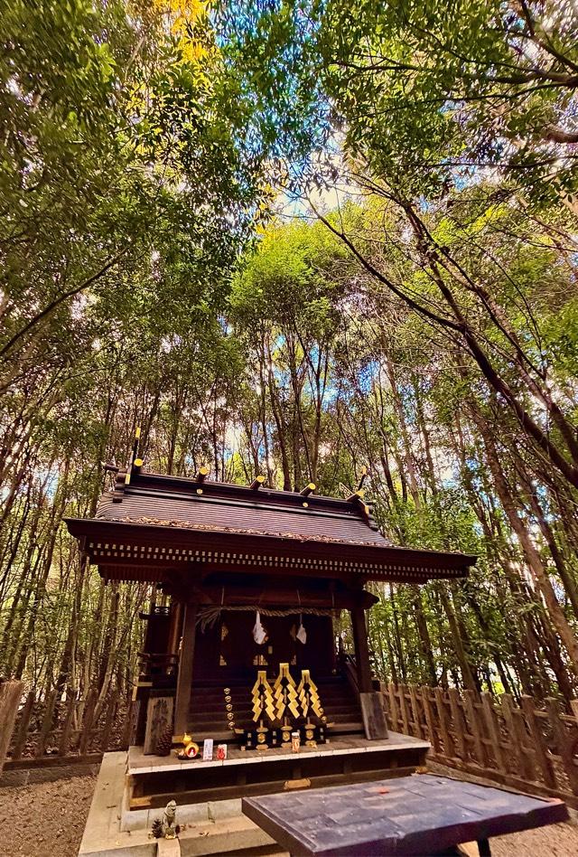 龍蛇神の社(出雲大社相模分祠)の参拝記録5
