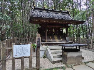龍蛇神の社(出雲大社相模分祠)の参拝記録(あべちゃんさん)