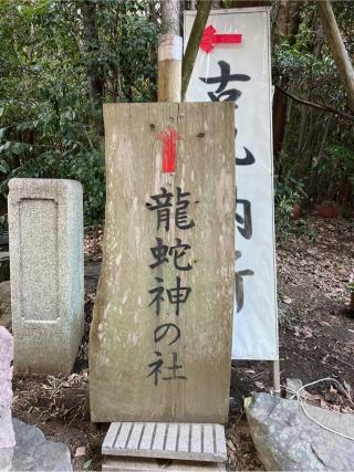 龍蛇神の社(出雲大社相模分祠)の参拝記録(⛩️🐍🐢まめ🐢🐍⛩️さん)