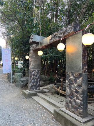 龍蛇神の社(出雲大社相模分祠)の参拝記録(⛩️🐍🐢まめ🐢🐍⛩️さん)
