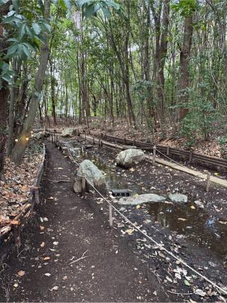 龍蛇神の社(出雲大社相模分祠)の参拝記録(⛩️🐍🐢まめ🐢🐍⛩️さん)