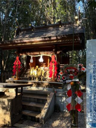 龍蛇神の社(出雲大社相模分祠)の参拝記録(555さん)
