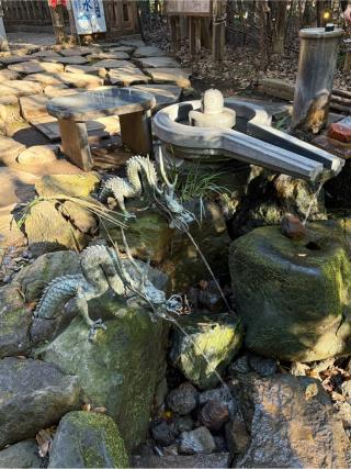 龍蛇神の社(出雲大社相模分祠)の参拝記録(555さん)