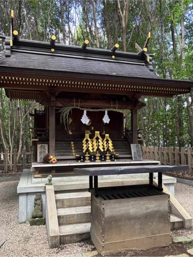 龍蛇神の社(出雲大社相模分祠)の参拝記録3