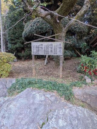 天神社(出雲大社相模分祠)の参拝記録(はくすみさん)