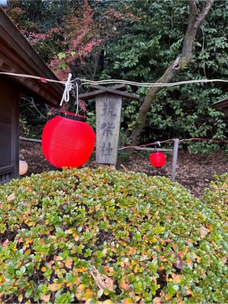 筑紫社(出雲大社相模分祠)の参拝記録(⛩️🎠🐢まめ🐢🎠⛩️さん)