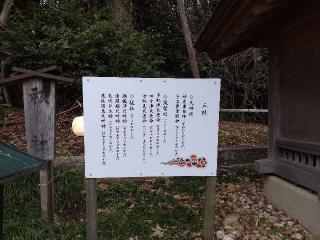 祓社(出雲大社相模分祠)の参拝記録(りゅうじさん)