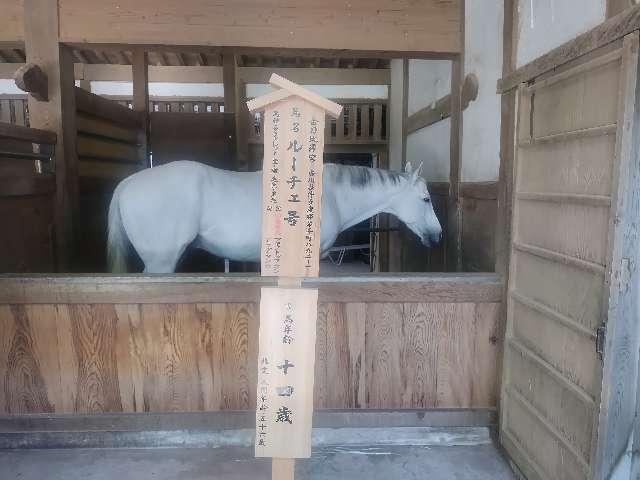 神馬舎(金刀比羅宮)の参拝記録8