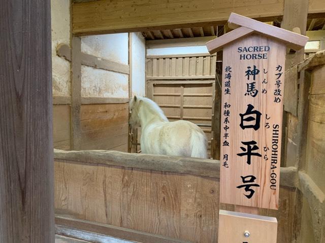 神馬舎(金刀比羅宮)の参拝記録1