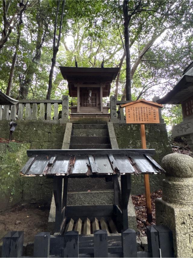 大山祇神社(金刀比羅宮)の参拝記録1