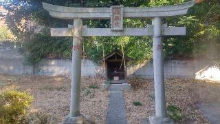 稲荷社(赤塚八幡神社)の参拝記録(まっちゃんさん)