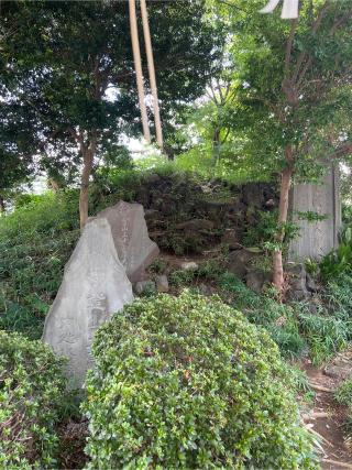 浅間神社(赤塚氷川神社)の参拝記録(⛩️🐍🐢まめ🐢🐍⛩️さん)