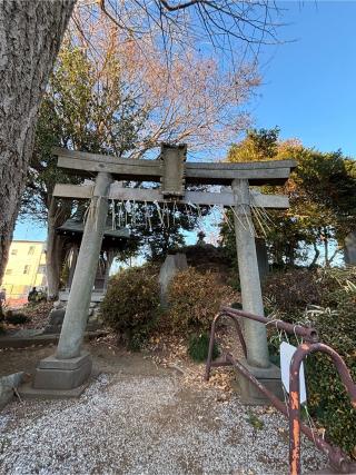 浅間神社(赤塚氷川神社)の参拝記録(燦之助さん)