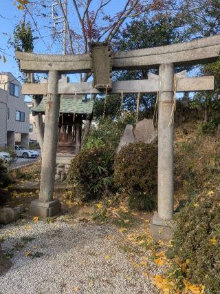 浅間神社(赤塚氷川神社)の参拝記録(はくすみさん)