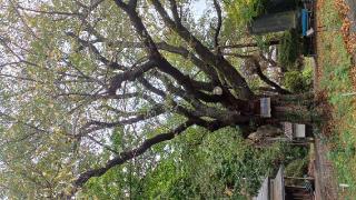 桜山招魂社(長者山新羅神社境内社)の参拝記録(SFUKUさん)