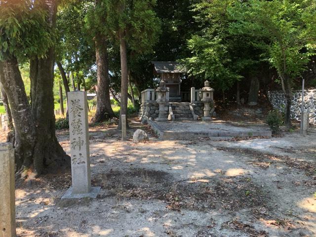 愛知県知多市佐布里井洞脇前 養蠶神社(多度神社末社)の写真1