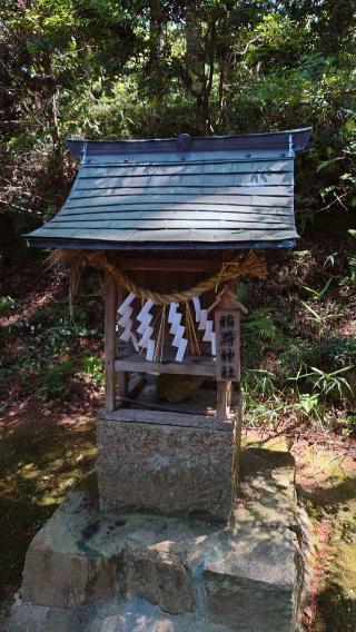 稲荷神社(杉森神社 境内社)の参拝記録(Roseさん)