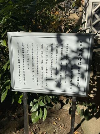 蔵殿神社(所澤神明社)の参拝記録(こーちんさん)