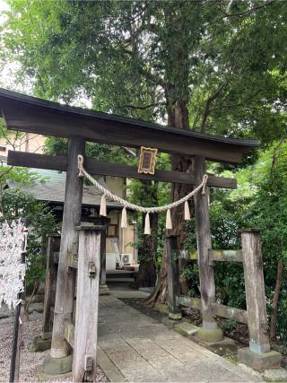 蔵殿神社(所澤神明社)の参拝記録(⛩️🐍🐢まめ🐢🐍⛩️さん)