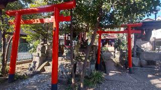 稲荷社(本郷氷川神社)の参拝記録(まっちゃんさん)
