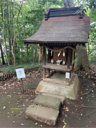 稲荷社②(氷川女體神社境内社)の参拝記録(⛩️🐍🐢まめ🐢🐍⛩️さん)