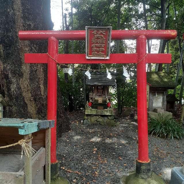 伏見稲荷神社（境内）の参拝記録(三毛猫さん)