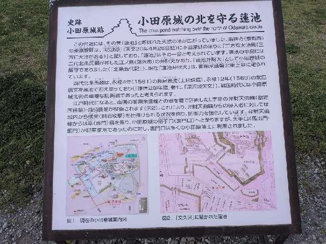 神奈川県小田原市城内１ 蓮池弁財天社の写真4