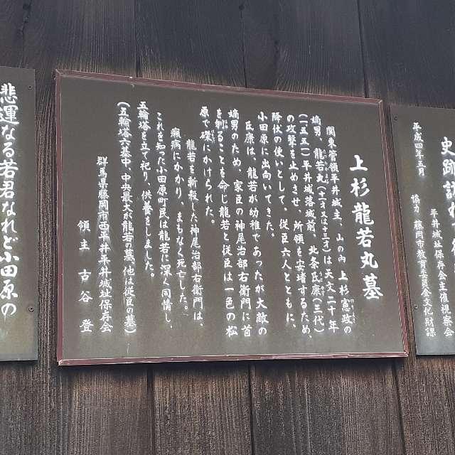 上杉神社（上杉龍若丸墓）の参拝記録(三毛猫さん)