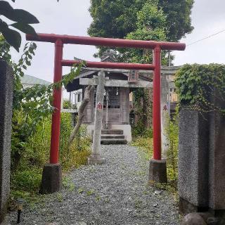 藪原稲荷神社の参拝記録(三毛猫さん)