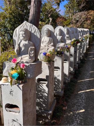 吉祥院の参拝記録(せーこさん)